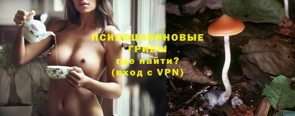 мдпв Лабытнанги
