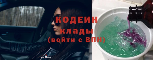 соль ск Ладушкин