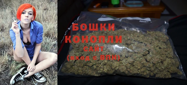 соль ск Ладушкин