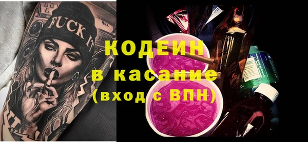 ECSTASY Лагань