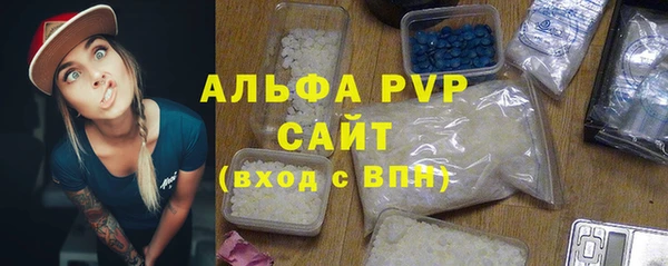 ECSTASY Лагань