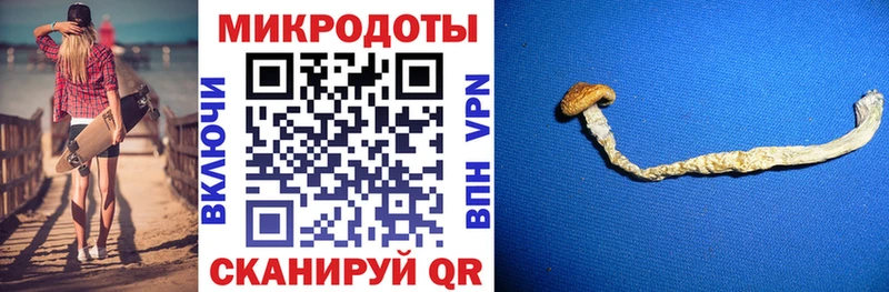 Псилоцибиновые грибы мухоморы  Купить где  Ахтубинск 